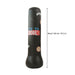 Inflatable Boxing Bag Johnny O's Goods