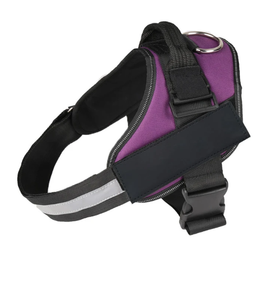 Sustainable Dog Harness
