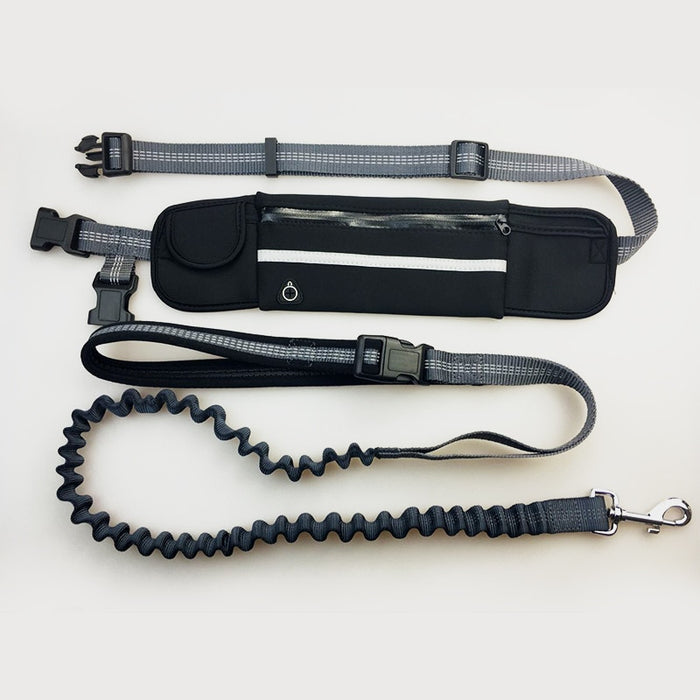 Zero Shock Tech Handsfree Bungee Dog Leash