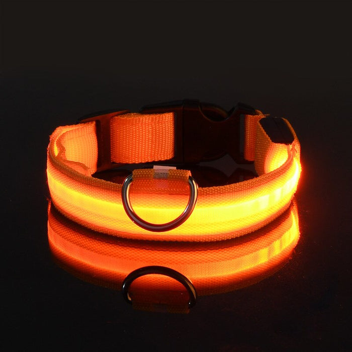 Rechargable Dog LED Flashing Collar Johnny O's Goods
