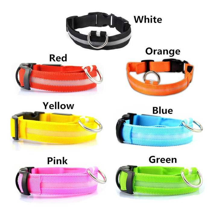 Rechargable Dog LED Flashing Collar Johnny O's Goods
