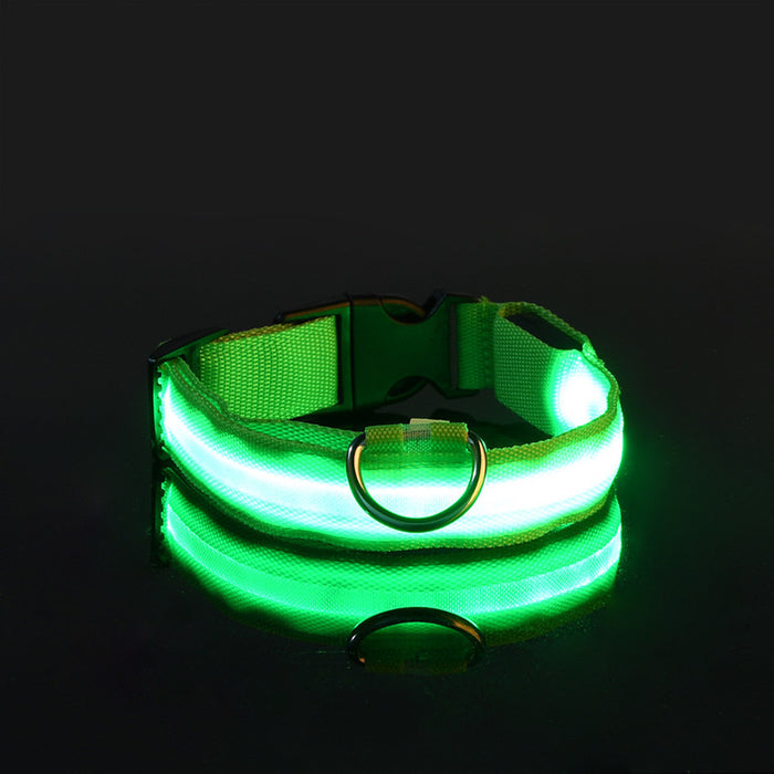 Rechargable Dog LED Flashing Collar Johnny O's Goods