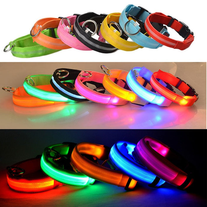 Rechargable Dog LED Flashing Collar Johnny O's Goods
