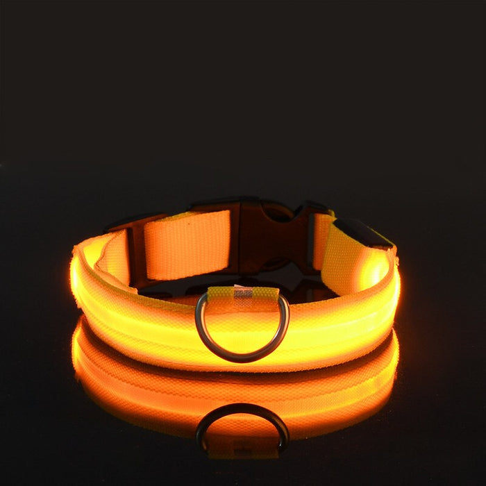 Rechargable Dog LED Flashing Collar Johnny O's Goods