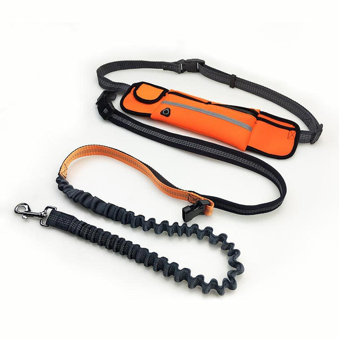 Zero Shock Tech Handsfree Bungee Dog Leash