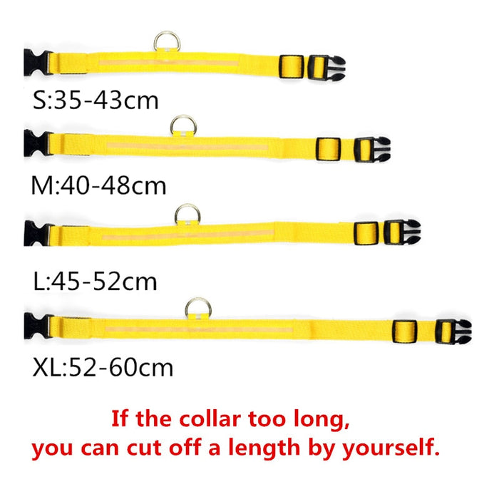 Rechargable Dog LED Flashing Collar Johnny O's Goods