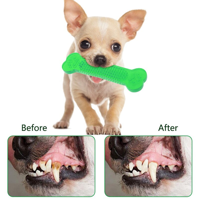 Dog Chew Toys For Dental Care Of Your Pets