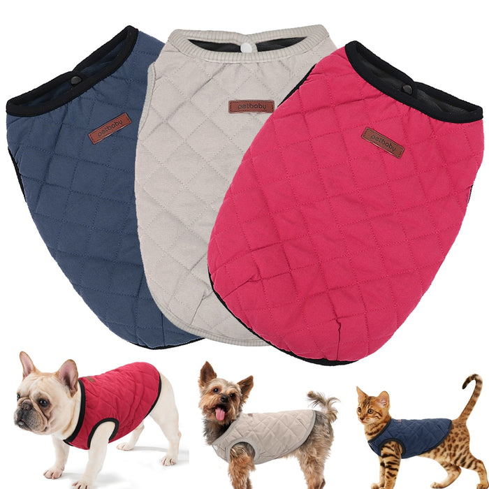 French Bulldog Coats