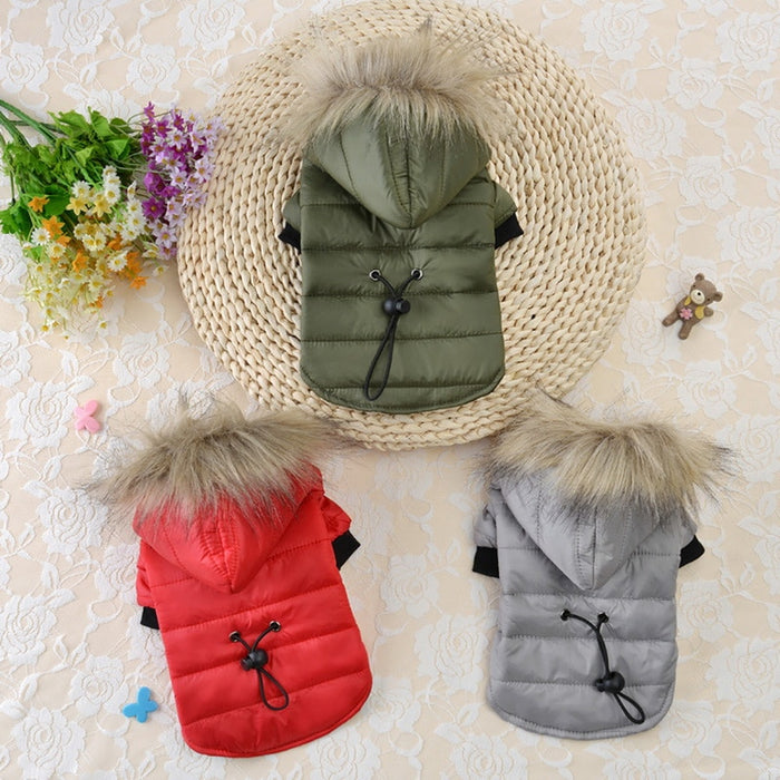 Warm Small Dog Jackets for Winter