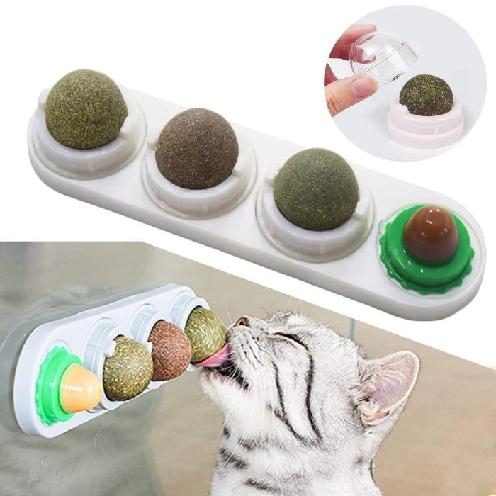 Catnip Wall Ball Toys for Cats