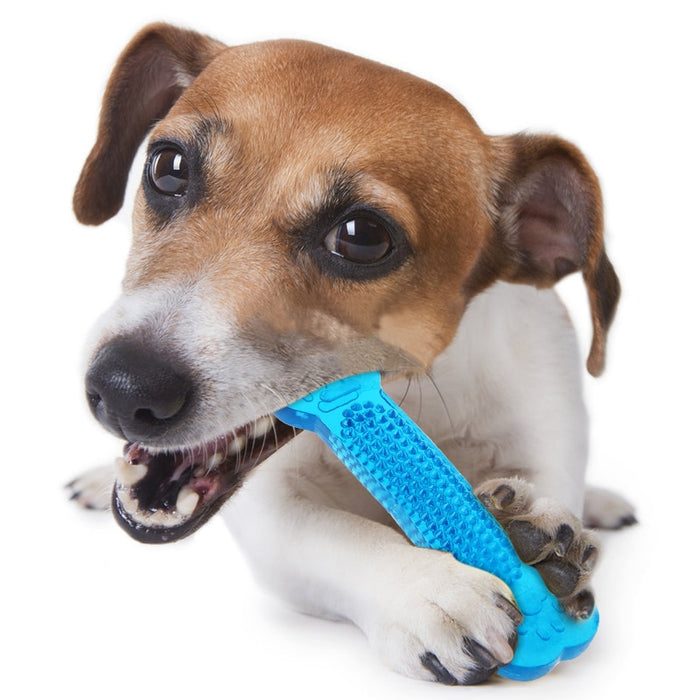 Dog Chew Toys For Dental Care Of Your Pets