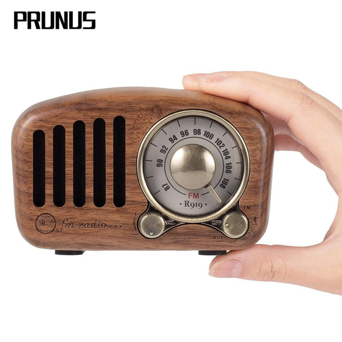 Portable Retro FM Radio