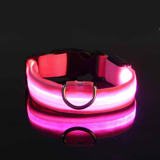 Rechargable Dog LED Flashing Collar Johnny O's Goods