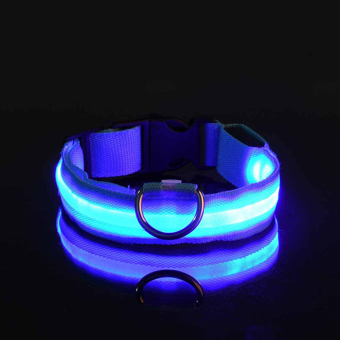 Rechargable Dog LED Flashing Collar Johnny O's Goods