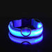 Rechargable Dog LED Flashing Collar Johnny O's Goods