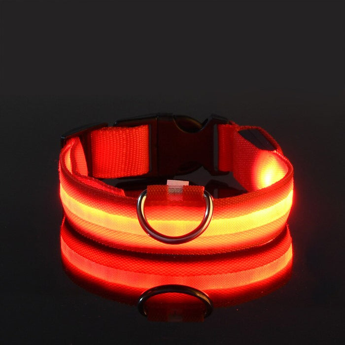 Rechargable Dog LED Flashing Collar Johnny O's Goods