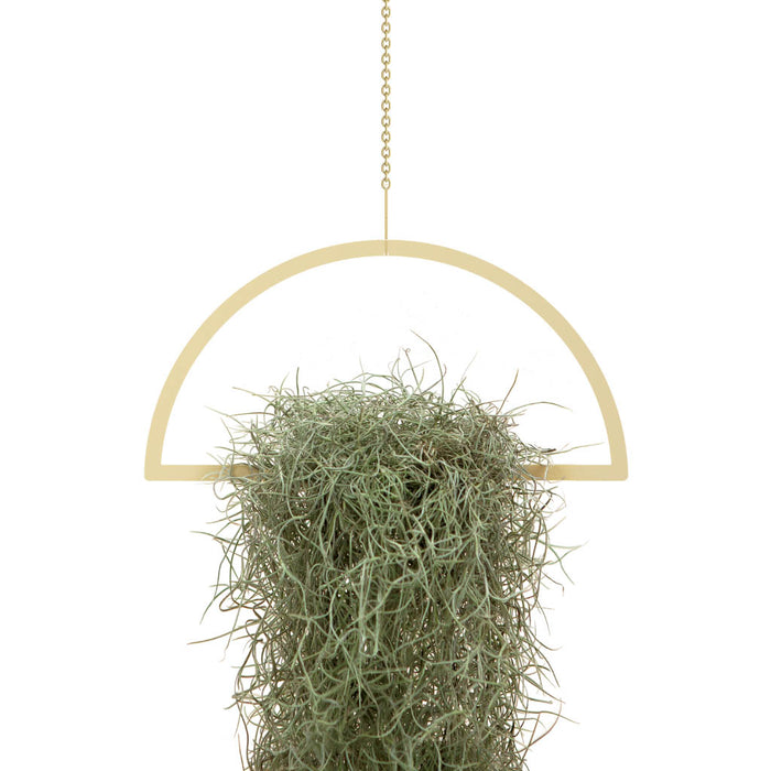 Gold Hanging Semicircle Plant Holder