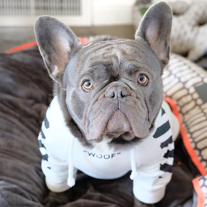 Retro French Bulldog Hoodie