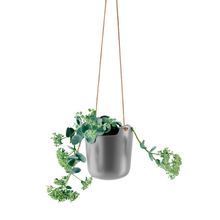 Self-Watering Hanging Flower Pot