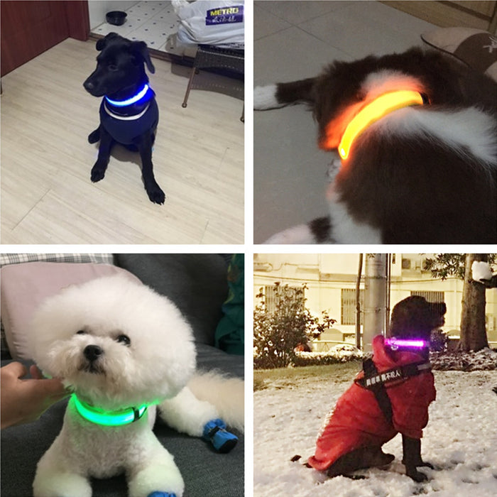 Rechargable Dog LED Flashing Collar Johnny O's Goods