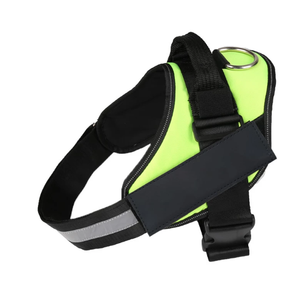 Sustainable Dog Harness