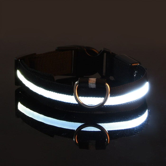 Rechargable Dog LED Flashing Collar Johnny O's Goods