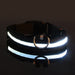 Rechargable Dog LED Flashing Collar Johnny O's Goods