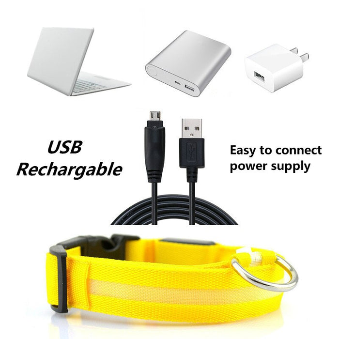 Rechargable Dog LED Flashing Collar Johnny O's Goods