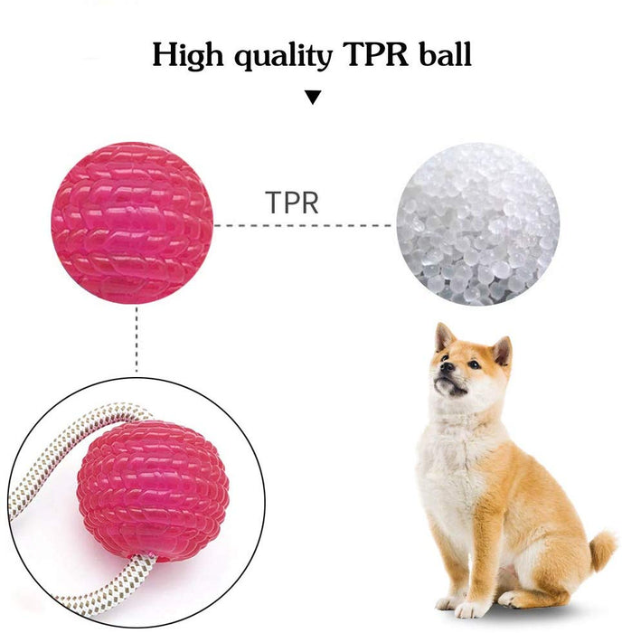 Multifunctional Dog Suction Cup Ball Toy