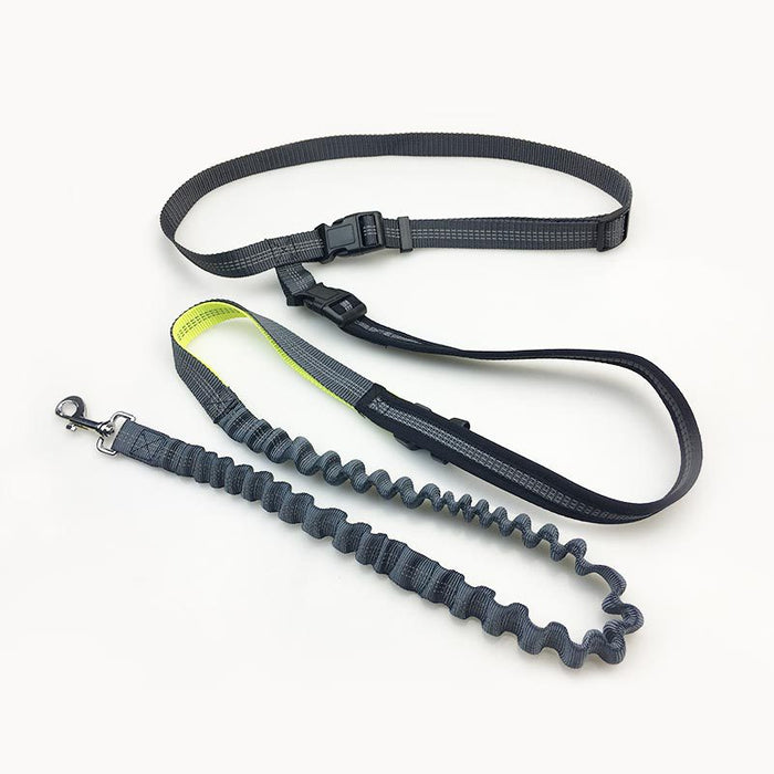 Zero Shock Tech Handsfree Bungee Dog Leash