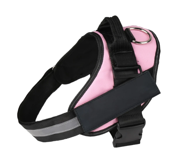 Sustainable Dog Harness