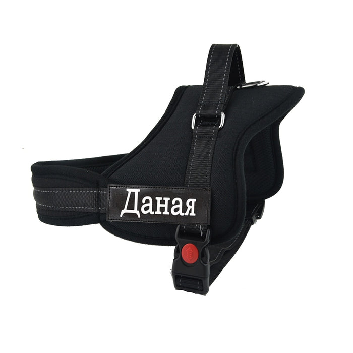 Dog Walking Harness