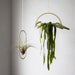 Gold Hanging Semicircle Plant Holder
