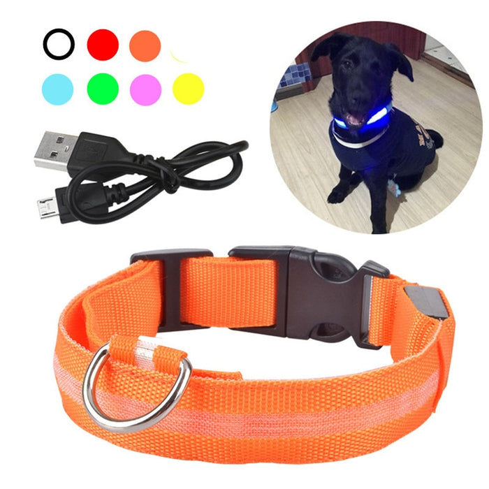 Rechargable Dog LED Flashing Collar Johnny O's Goods