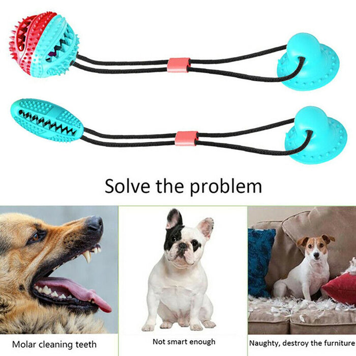 High Quality TPR Dog Suction Cup Ball Toy