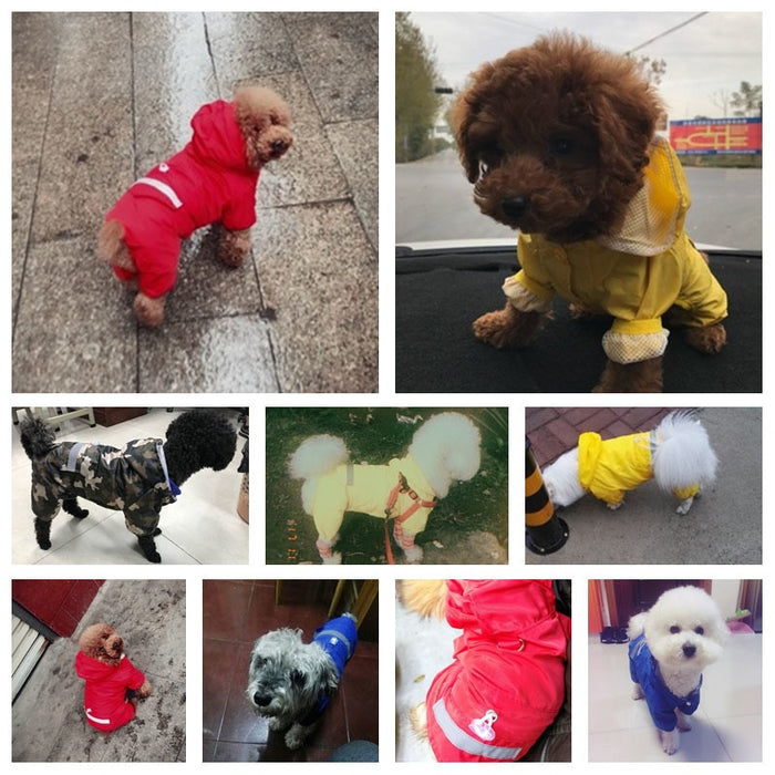 Dog Raincoats With Hood