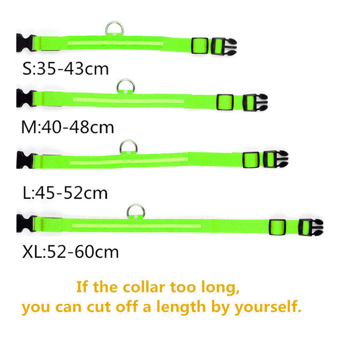 Rechargable Dog LED Flashing Collar Johnny O's Goods