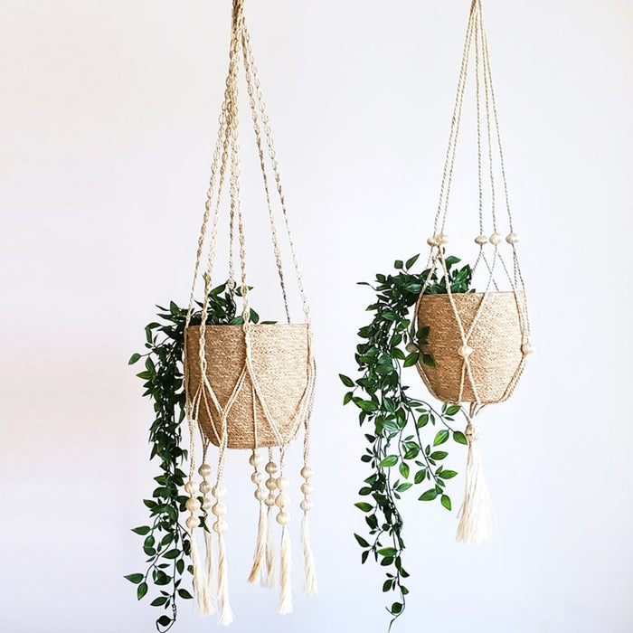 Fiora Plant Hanger Set