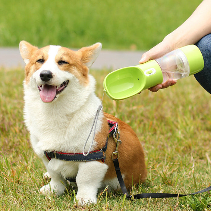 Small Pet Water Bottle