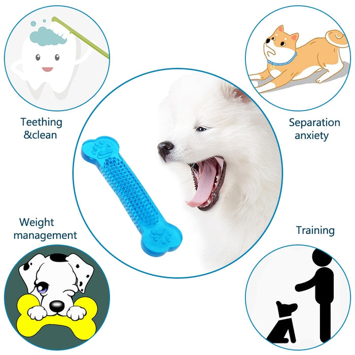 Dog Chew Toys For Dental Care Of Your Pets