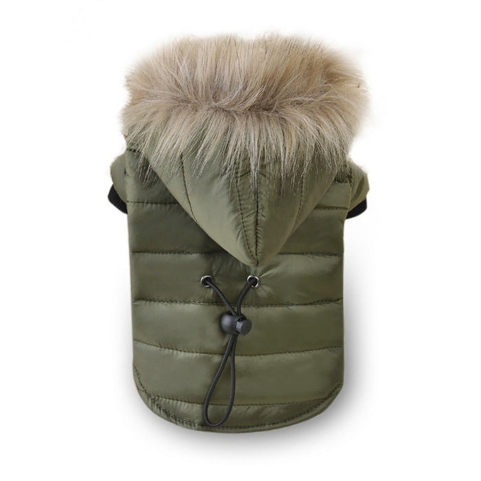 Warm Small Dog Jackets for Winter