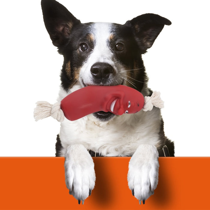 Dog Chew Toys For Dental Care Of Your Pets